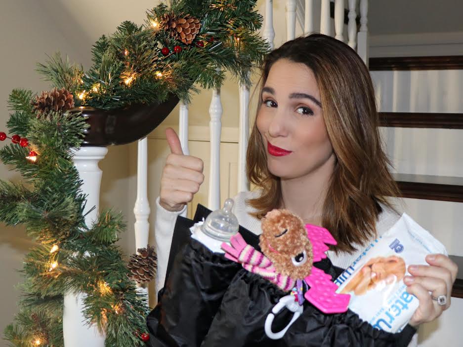 Power Baggage by Christy Carlson Romano – ToteSavvy